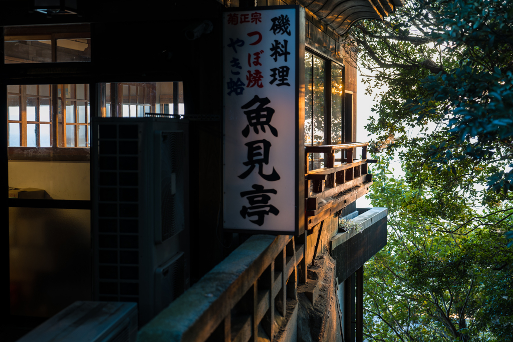 江ノ島　スナップ