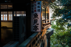 江ノ島 スナップ 江ノ島 スナップ