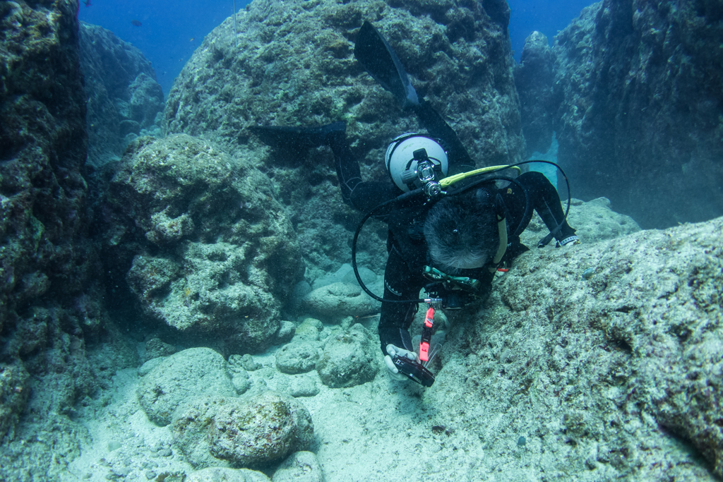 下地島ダイビング