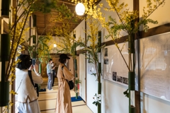 旧伊藤博文金沢別邸の春