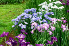 皇居　二の丸庭園