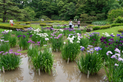 皇居　二の丸庭園