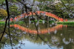 2023年　春の称名寺