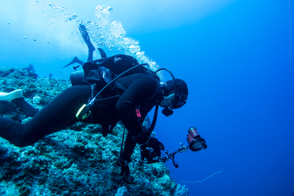 下地島ダイビング