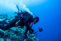 下地島ダイビング