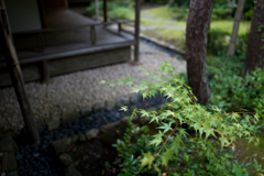 鎌倉　一条恵観山荘