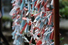 江ノ島　スナップ