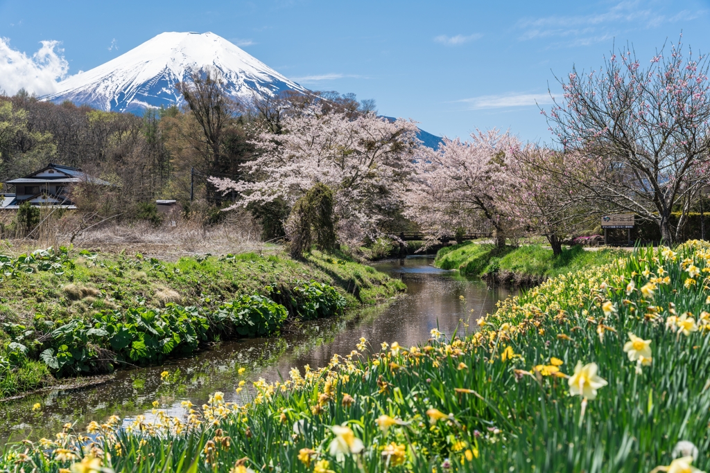 春の忍野村