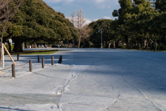 山下公園　芝生立入禁止