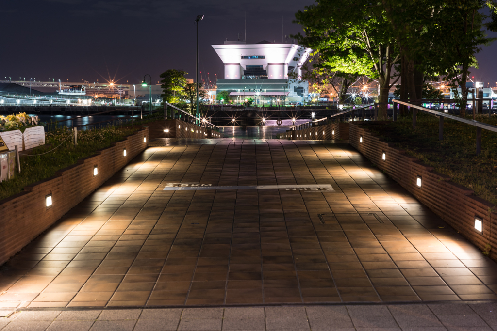 大さん橋に続く道