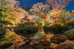大磯城山公園　紅葉ライトアップ