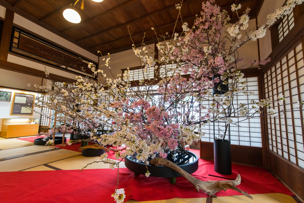 旧伊藤博文金沢別邸の春