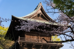 2023年　春の称名寺