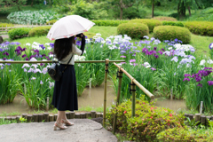 皇居　二の丸庭園