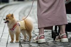 元町商店街スナップ