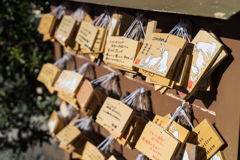 森戸神社スナップ
