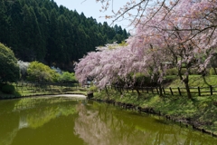 最明寺史跡公園