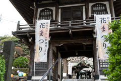 西中山 常照寺 花まつり