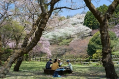 最明寺史跡公園