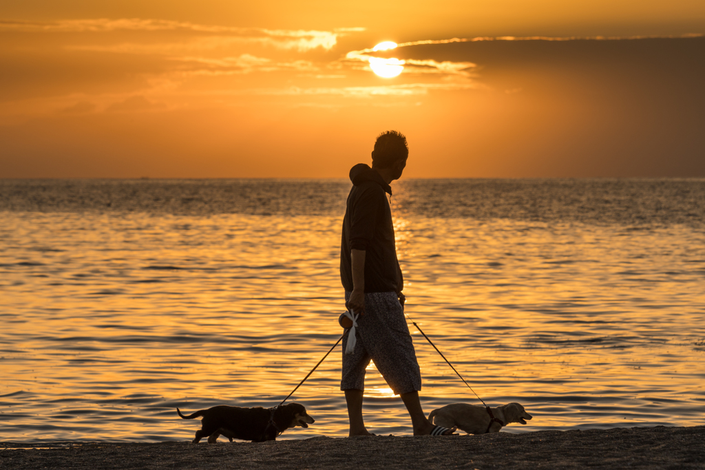逗子海岸　夕景