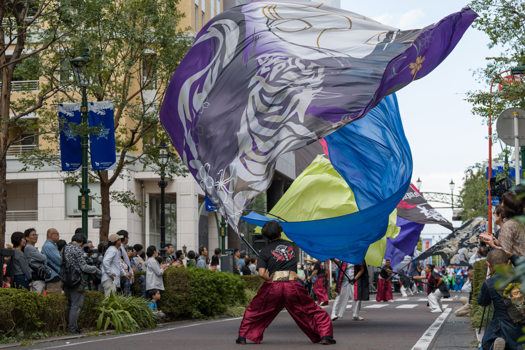 横浜よさこい祭り 2023