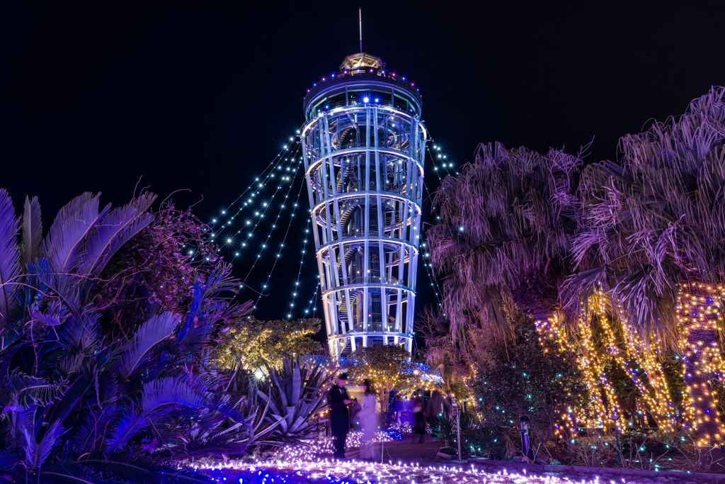 湘南の宝石 2024