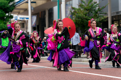 第19回 湘南よさこい祭り