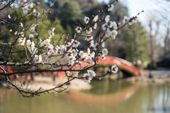 金沢文庫　称名寺