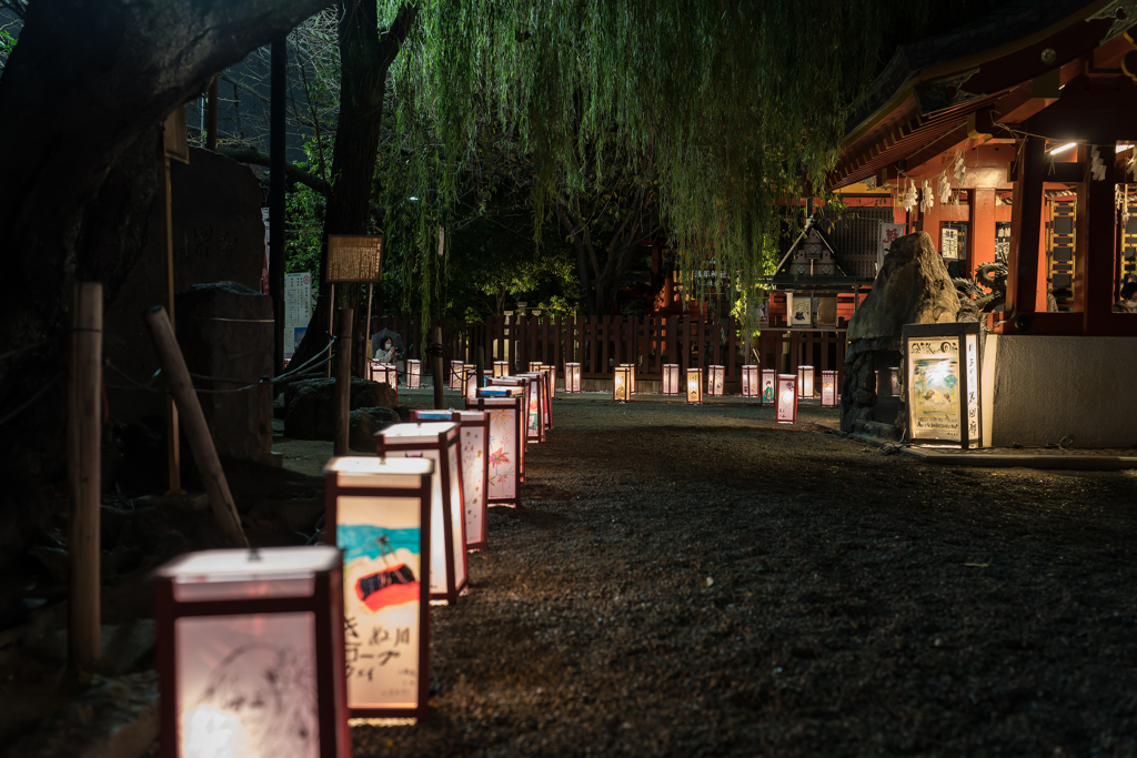 浅草燈籠祭
