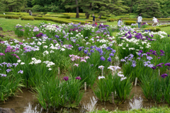 皇居　二の丸庭園