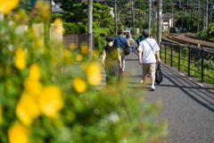 北鎌倉線路沿い