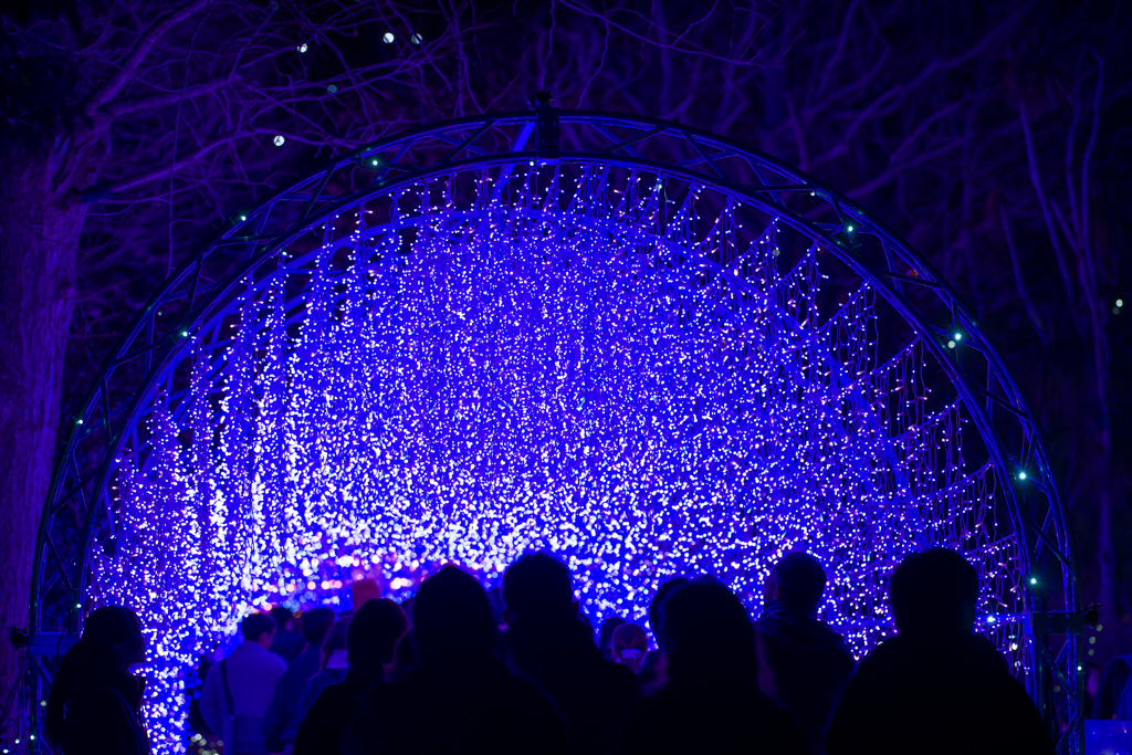 江ノ島　湘南の宝石2024