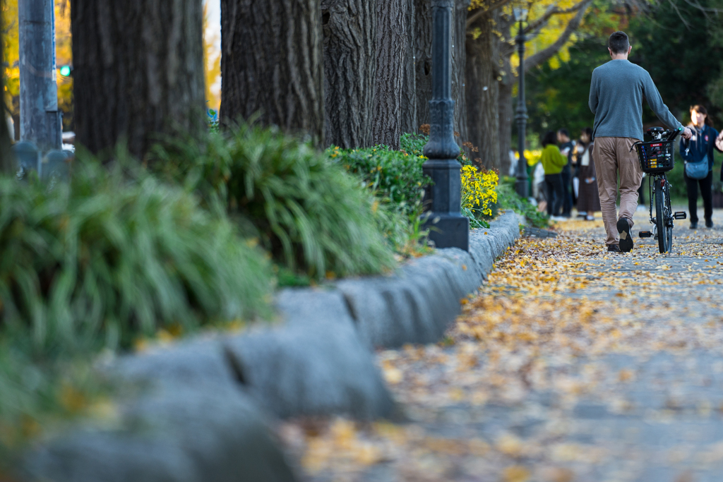 山下公園　紅葉