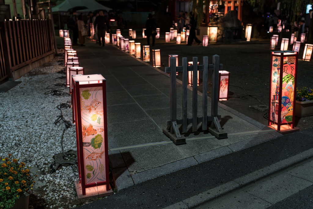 浅草燈籠祭