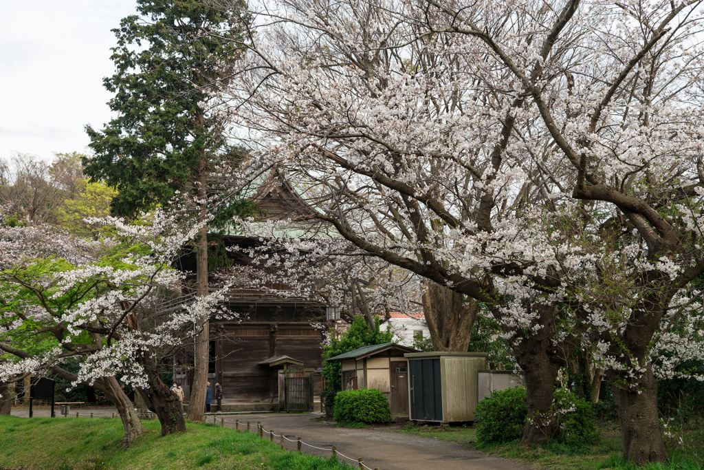 2024 春の称名寺
