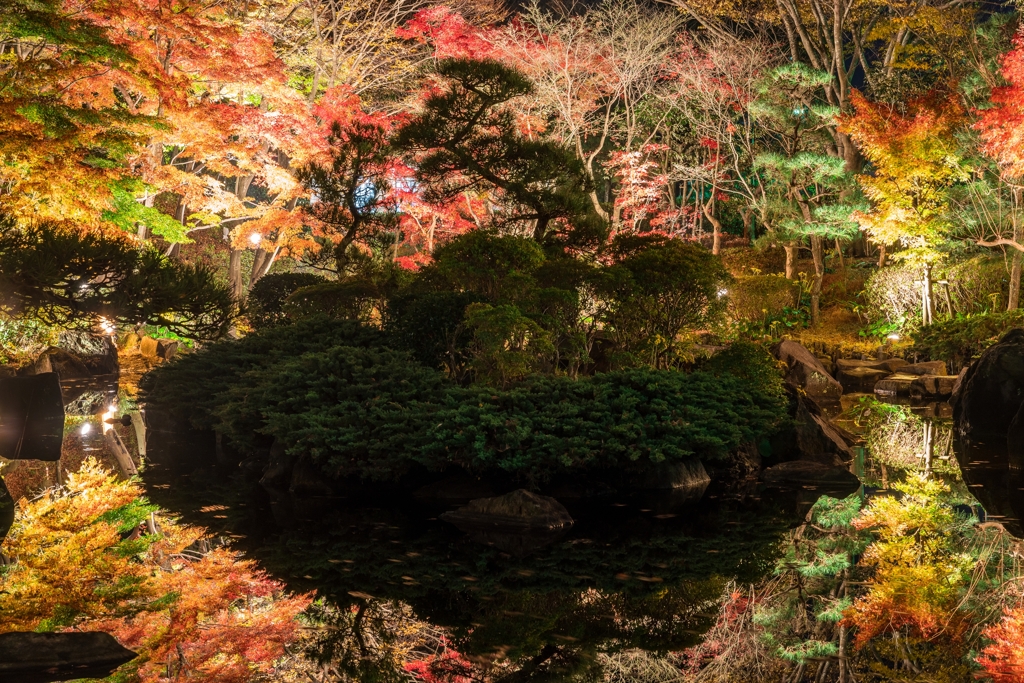 大磯城山公園　紅葉ライトアップ