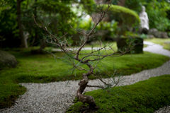 報国寺