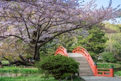 2023年　春の称名寺