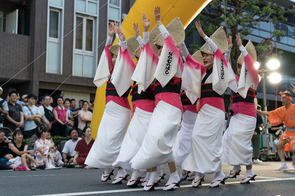 第64回 東京高円寺阿波おどり