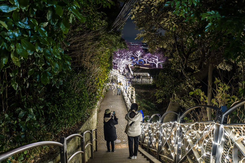 夜の江ノ島
