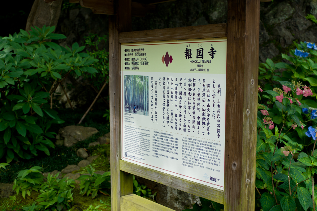 報国寺
