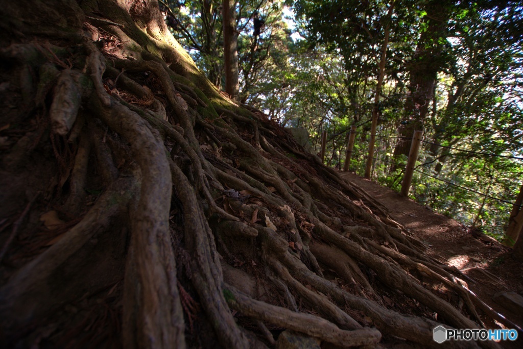 筑波山2