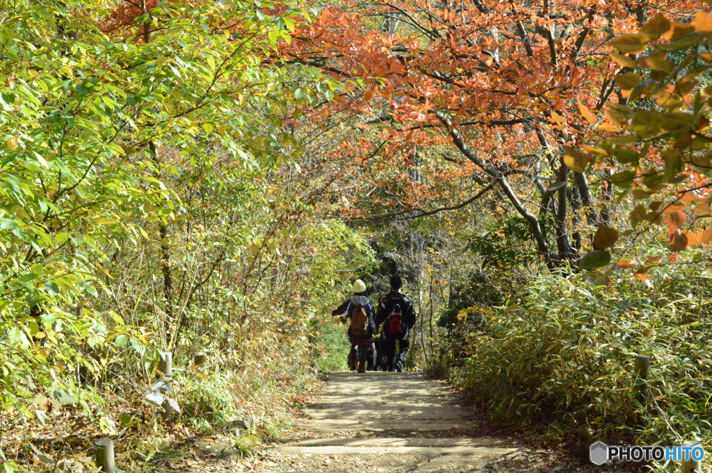 高尾山3