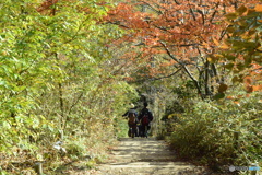 高尾山3