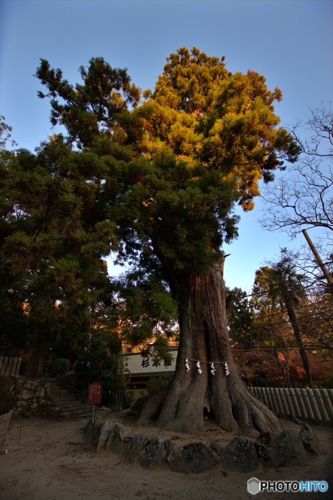 筑波神社2