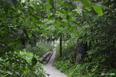 上高地3