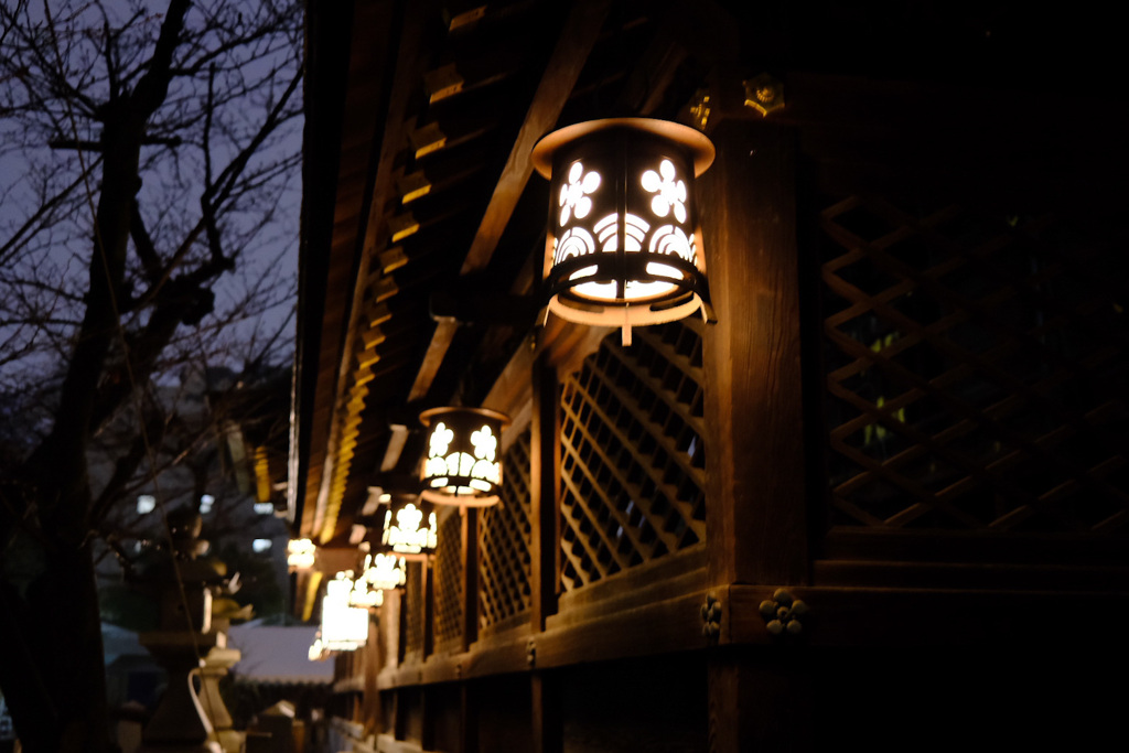 夜雨の境内裏