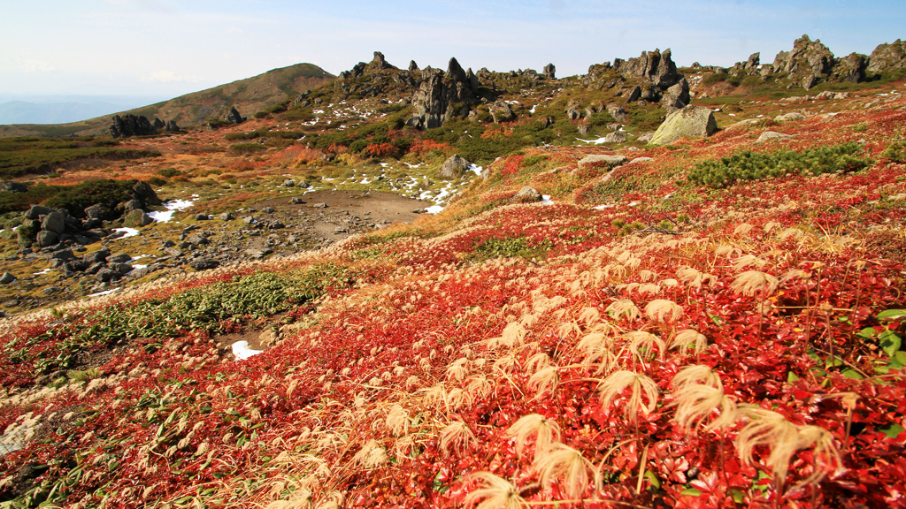 紅葉のトムラウシ公園