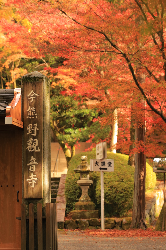 2021年京都　今熊野観音寺①