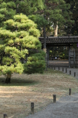 2021年六義園